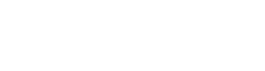 TELECOM-WORKS